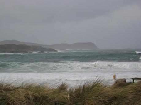 Wild Atlantic Waves img_5847-2