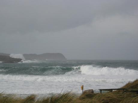 Wild Atlantic Waves img_5849-2