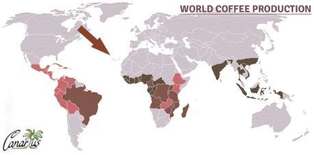 Infografía---World-Coffee-Production