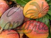 Mango Varieties Sold Canarius Mediterranean Subtropical Climates
