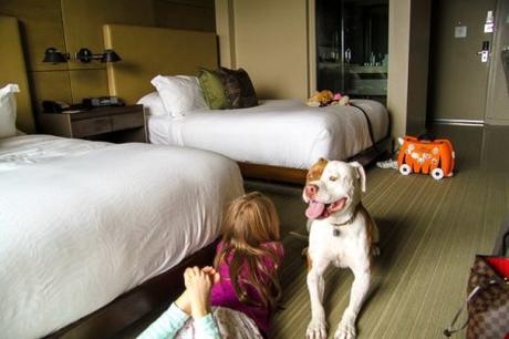 Manners Matter: Etiquette at Pet-Friendly Hotels