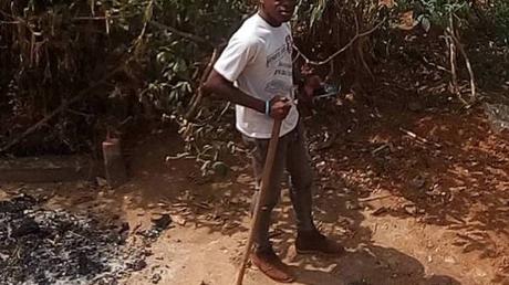 Armed with smartphones, Cameroon forest defenders take on illegal loggers