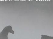 Motherhood: Lost Found: Book Review