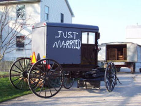 Amish Weddings by Leslie Gould