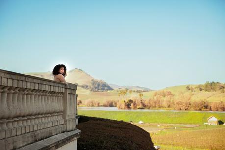 Winter at Domaine Carneros Winery