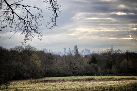 The #London Nightly #Photoblog 06:02:17 #Hampstead View