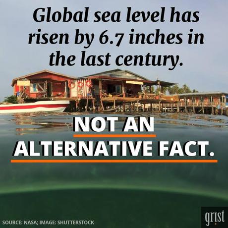 NOT Alternative Facts