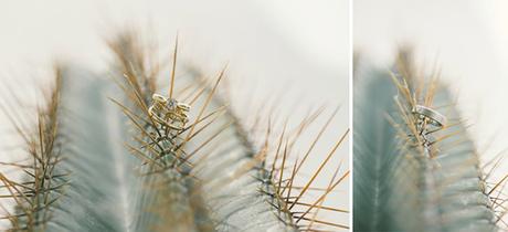 Rustic chic wedding in Folegandros | Ivana & Cale