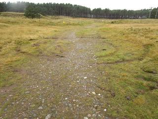 Rare habitats being damaged by off-road vehicles