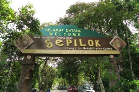 Visiting Sepilok Orangutan Rehabilitation Centre in Malaysia