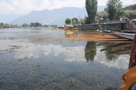 DAILY PHOTO: Reflections on Dal Lake