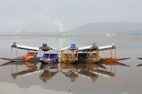 DAILY PHOTO: Reflections on Dal Lake