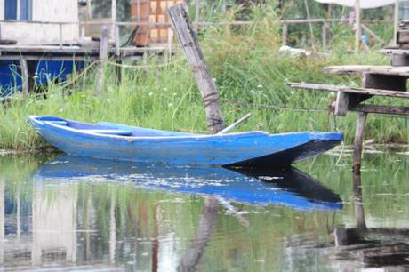 DAILY PHOTO: Reflections on Dal Lake