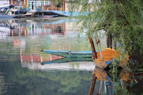 DAILY PHOTO: Reflections on Dal Lake