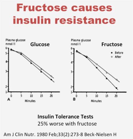 Fructose and Fatty Liver – Why Sugar is a Toxin