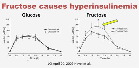 Fructose and Fatty Liver – Why Sugar is a Toxin