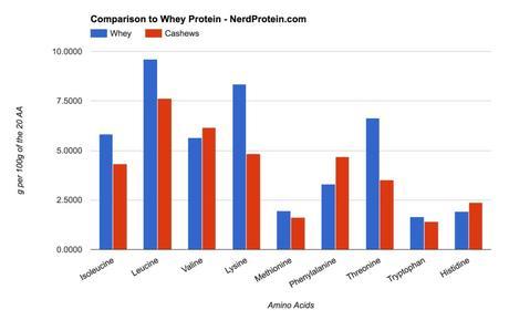 Cashew and Whey Protein Comparison