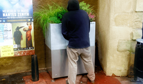 What's he doing to that plant?!