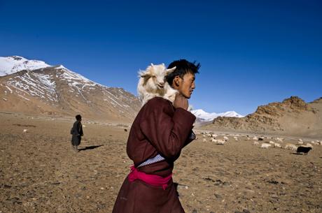 Ladakh, India, 2008