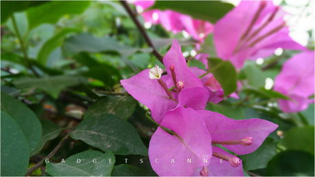 Asus ZenFone Max (2016) Review : A power packed phone Asus ZenFone Max (2016) Review : A power packed phone