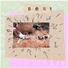 BENT: Snakes and Shapes BENT: Snakes and Shapes