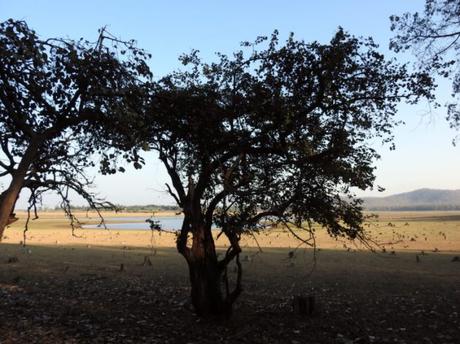 A view of the backwaters in the distance