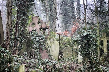 In & Around #London… Abney Park Cemetery in Winter