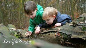 two toddler brothers looking for acorns in the woods with their Mum filmed for a family video shoot in tarleton