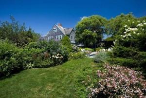 This is the Grey Gardens today. Lush, green yard restored with proper care, maintenance, and patience.