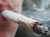 Cannabis Actually Disgusting Side Effect Health Medicine Science World Report