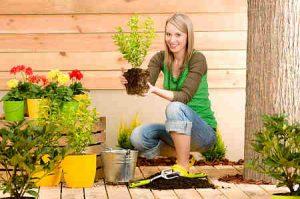 gardening-hobby-opt