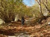 Mountain Biking Fall Foliage Abruzzo