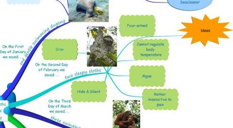 Biomimicry for Young Children Inspired by the Endagered Sloths