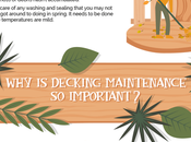 Maintaining Timber Decking (Infographic)