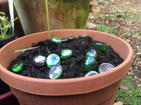 Eruptions in the Garden