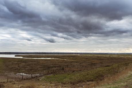 Looking Out over the Reserve