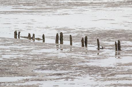 Groins sticking out of the Sands