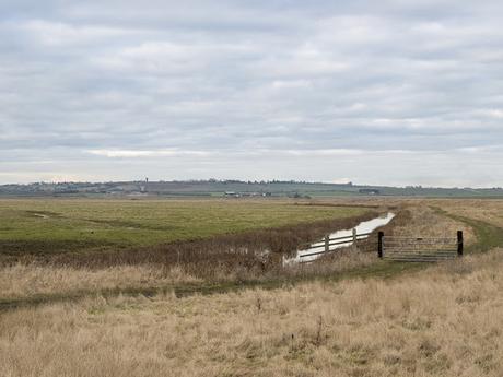 View over Elmley Marshes
