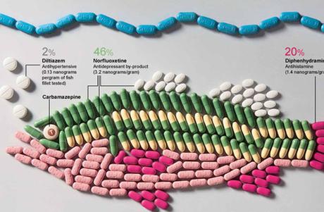 Drugs (Pharmaceutical Drugs) Found in Fish [Infographic]