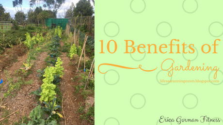 10 Benefits of Gardening