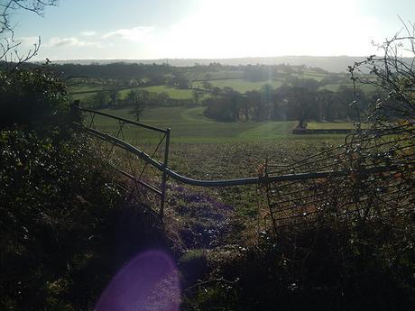 Chew Valley Waterfall Walk