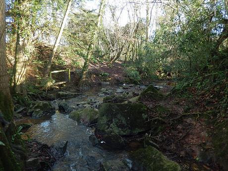 Chew Valley Waterfall Walk