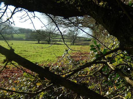 Chew Valley Waterfall Walk