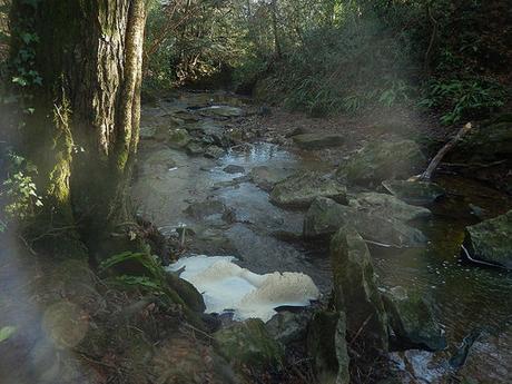 Chew Valley Waterfall Walk