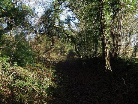 Chew Valley Waterfall Walk