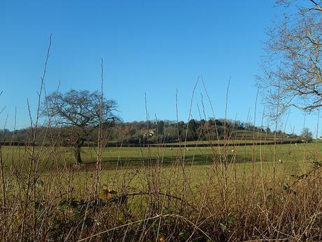 Chew Valley Waterfall Walk