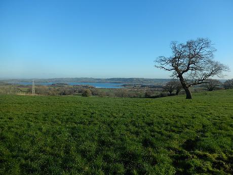 Chew Valley Waterfall Walk