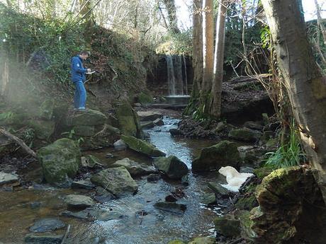 Chew Valley Waterfall Walk