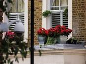 Ways Secure Your Home Windows