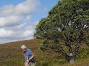 Rare Species Discovered ‘lost World’ Estate Near Loch Ness